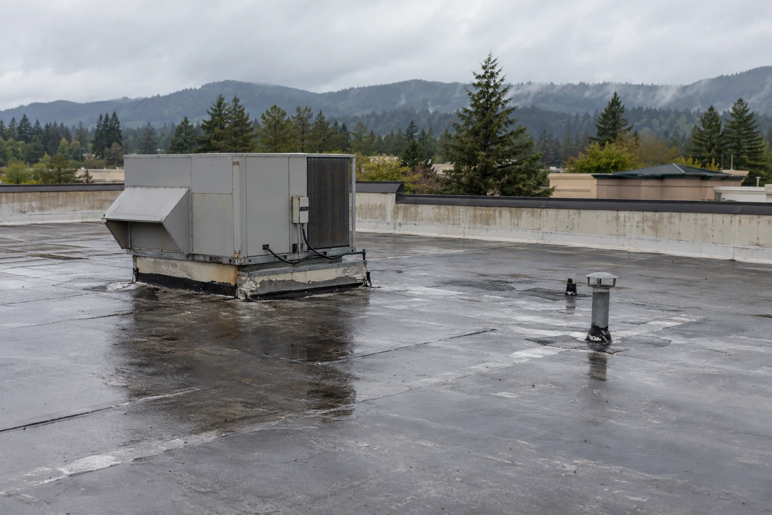 Grocery Store Roofing in Bellingham, WA