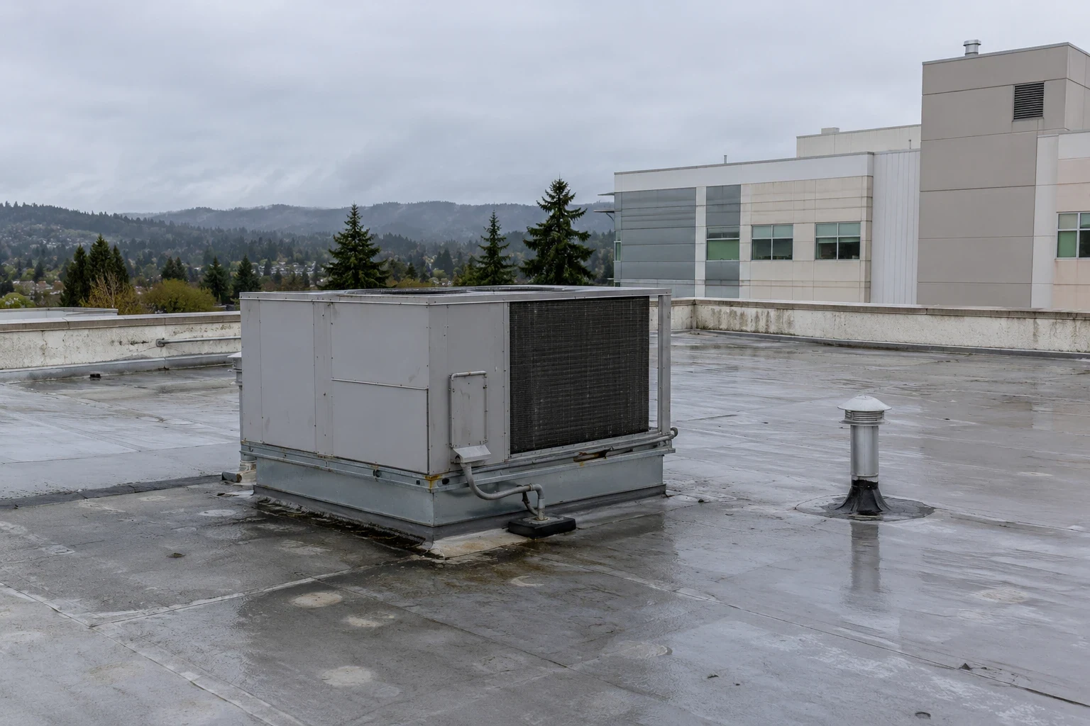Hospital and Healthcare Campus Roofing in Bellingham, WA