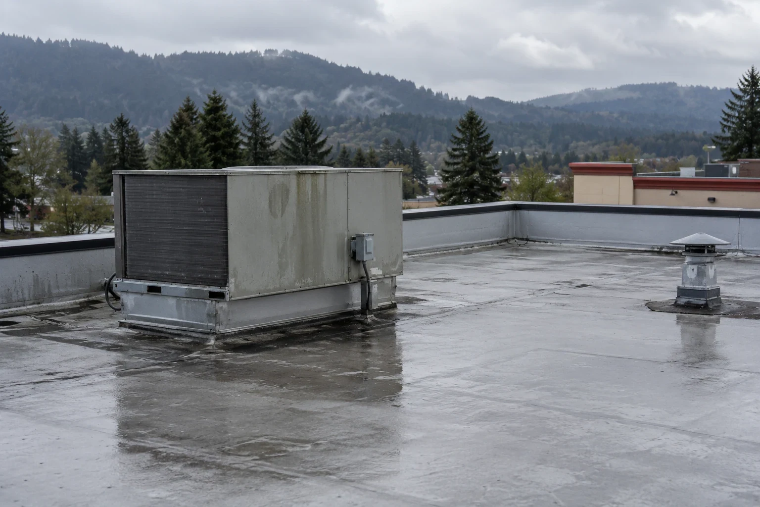 Restaurant Roofing in Bellingham, WA
