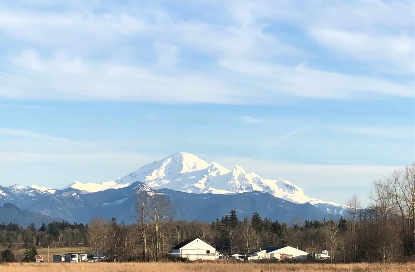 Ferndale