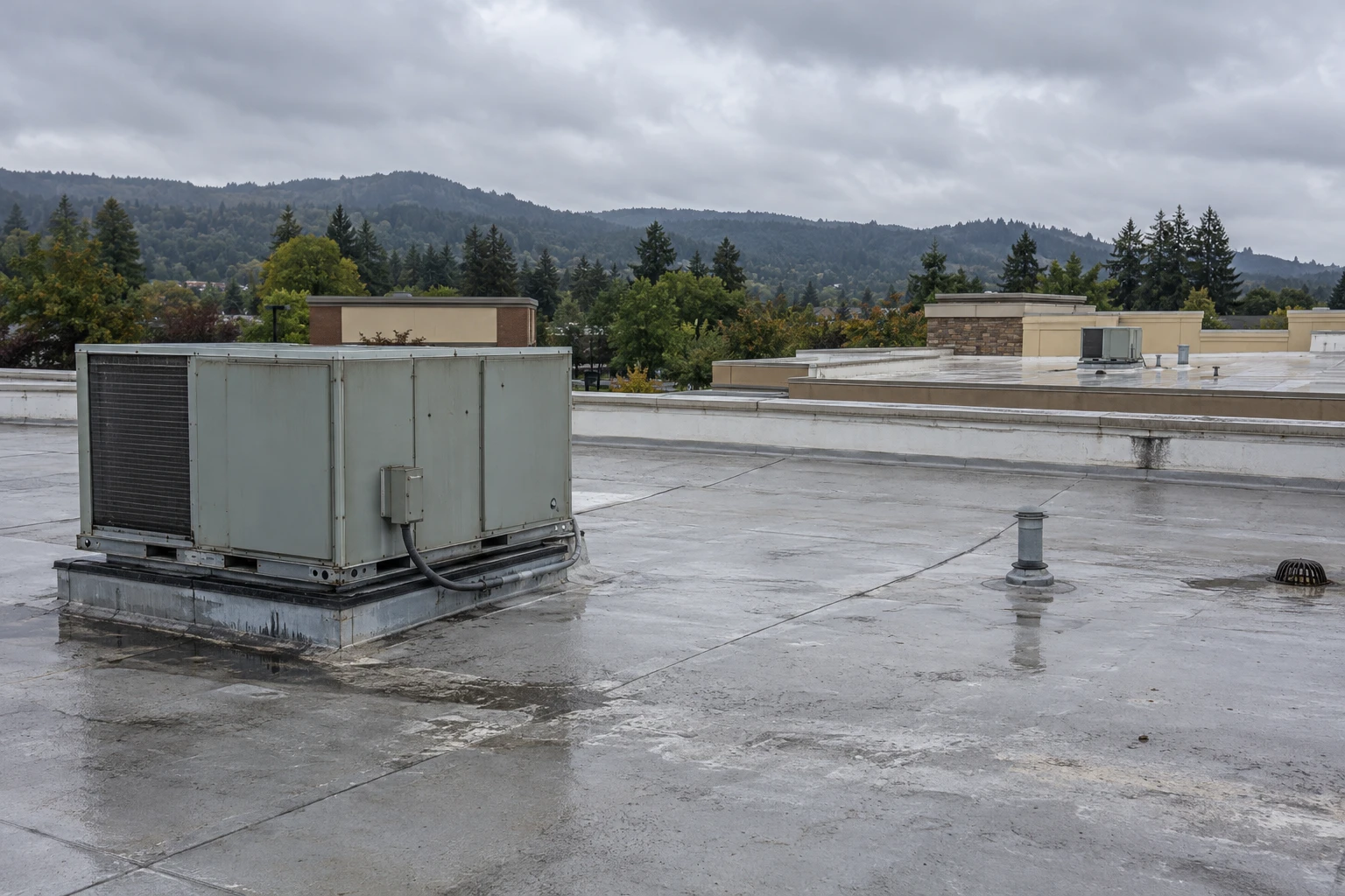 Commercial Roofing in Irongate and Meridian, Bellingham, WA