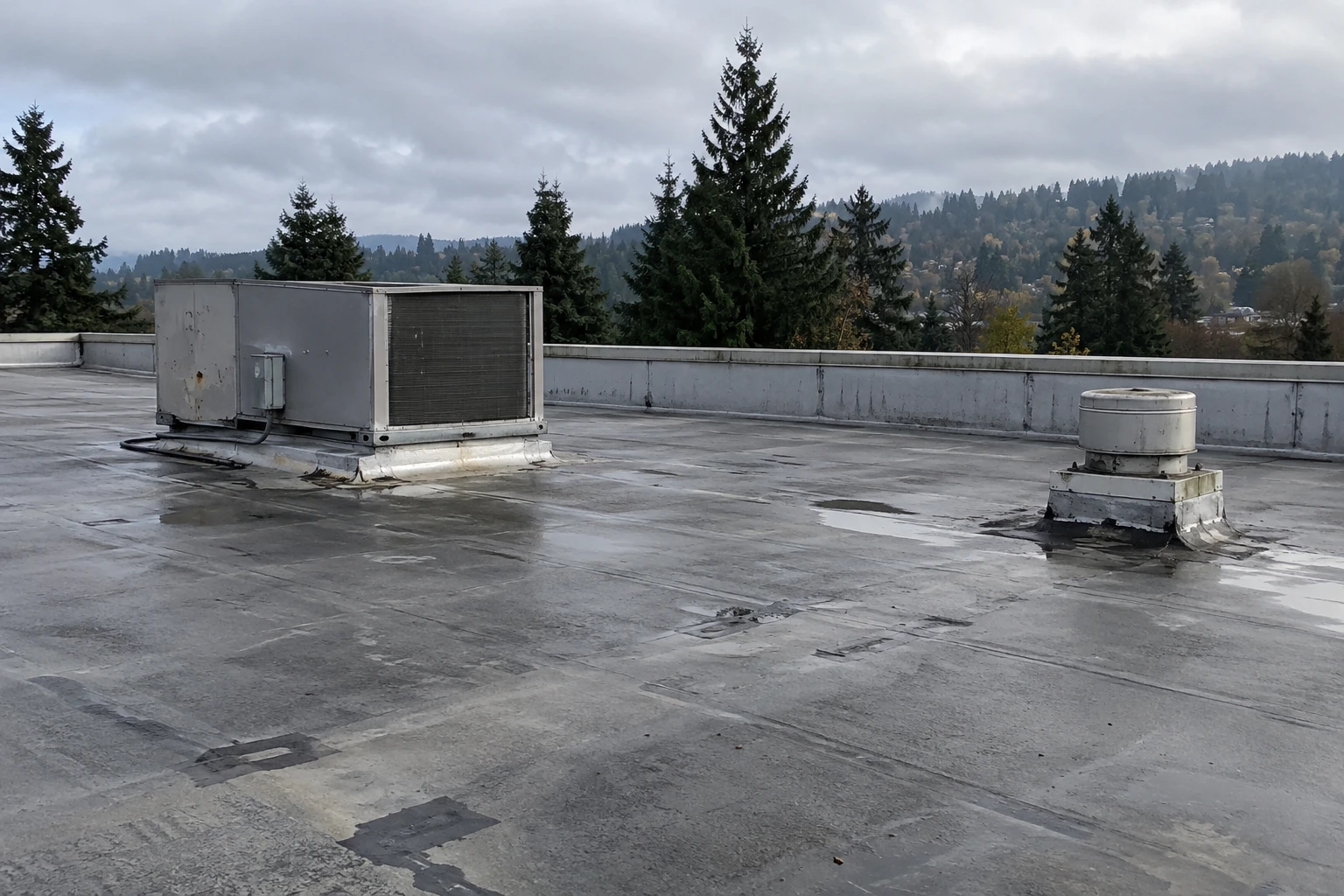 Commercial roofing in Bellingham, WA